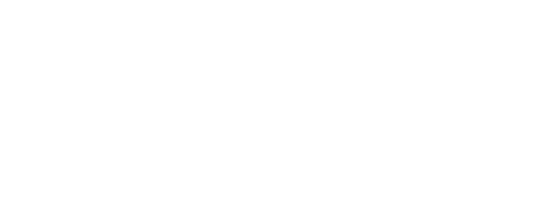 Webasto